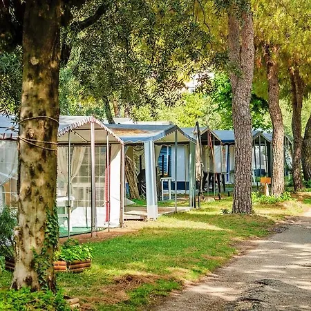 Caravan Park,